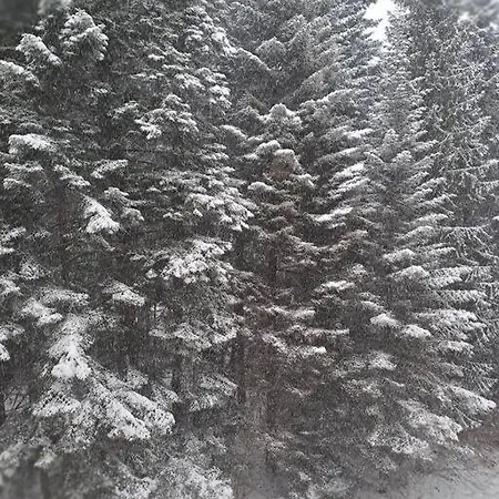 Апартаменты Flora 412 Боровец